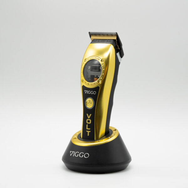 VIGGO VOLT V- 025